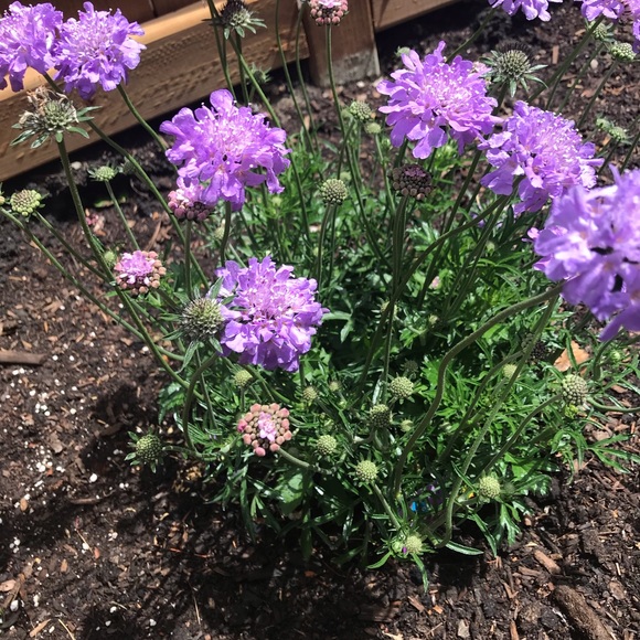 Meet your Posher, Maryam - Picture 1 of 1